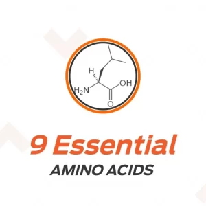 Klr.Fit's EAA Klr.Fit's EAA